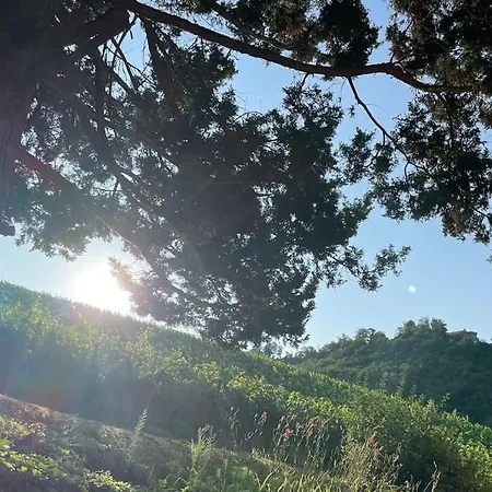 Ferienhaus Rebhaus Durbach