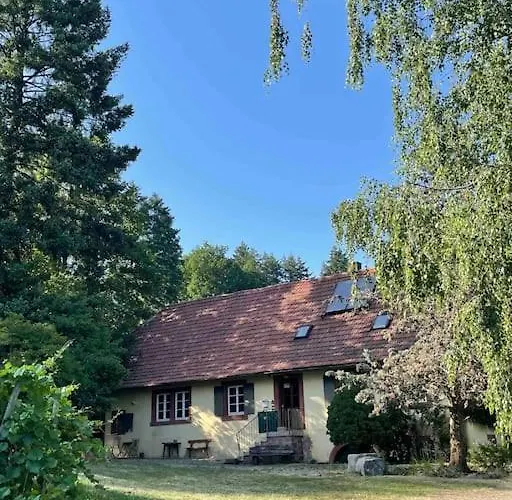 Holiday home Rebhaus Durbach