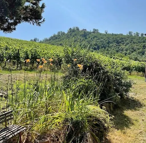 Rebhaus Ferienhaus Durbach