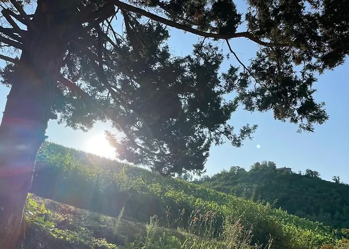 Holiday home Rebhaus Durbach